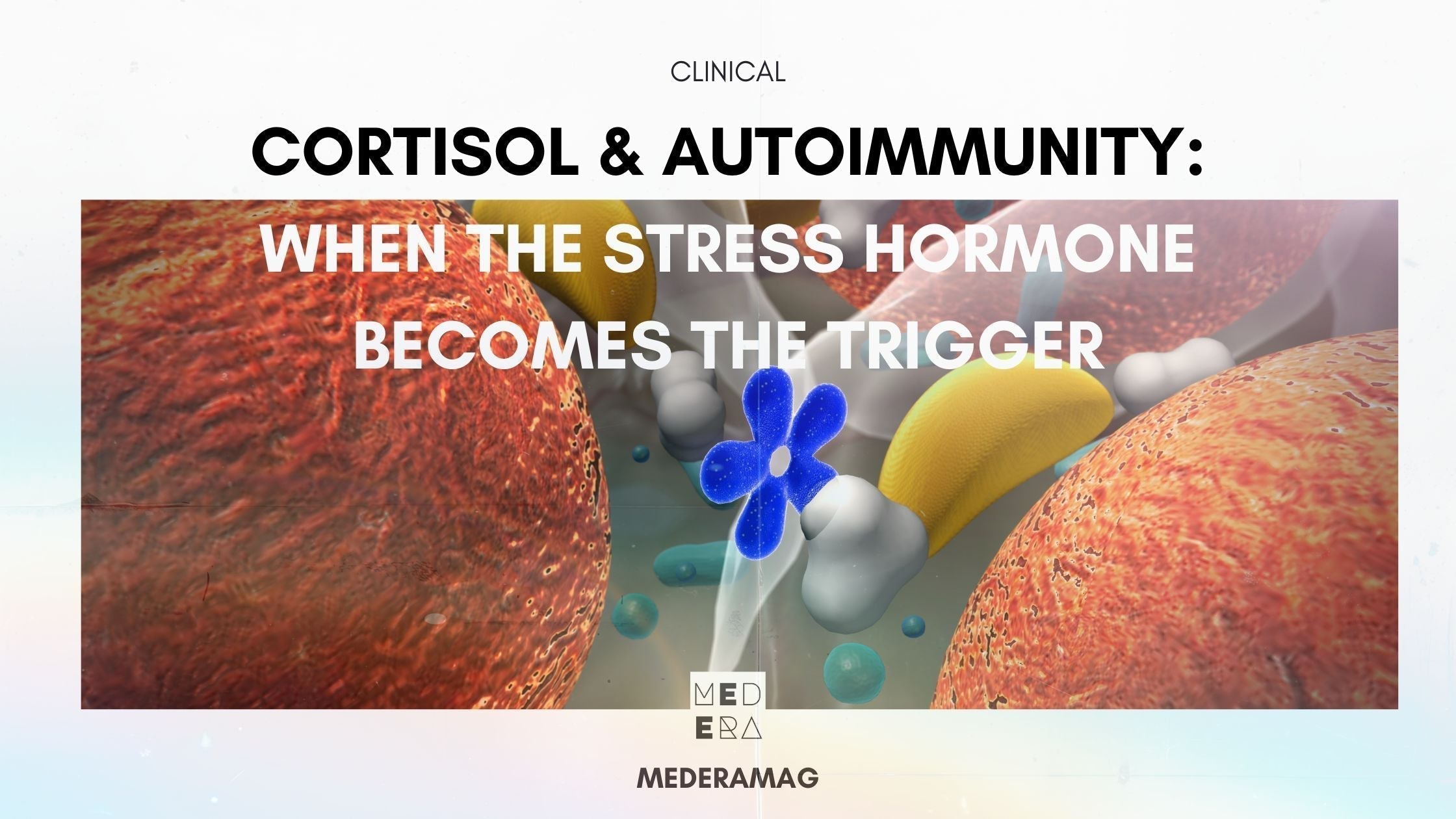 Cortisol & Autoimmunity: When the Stress Hormone Becomes the Trigger