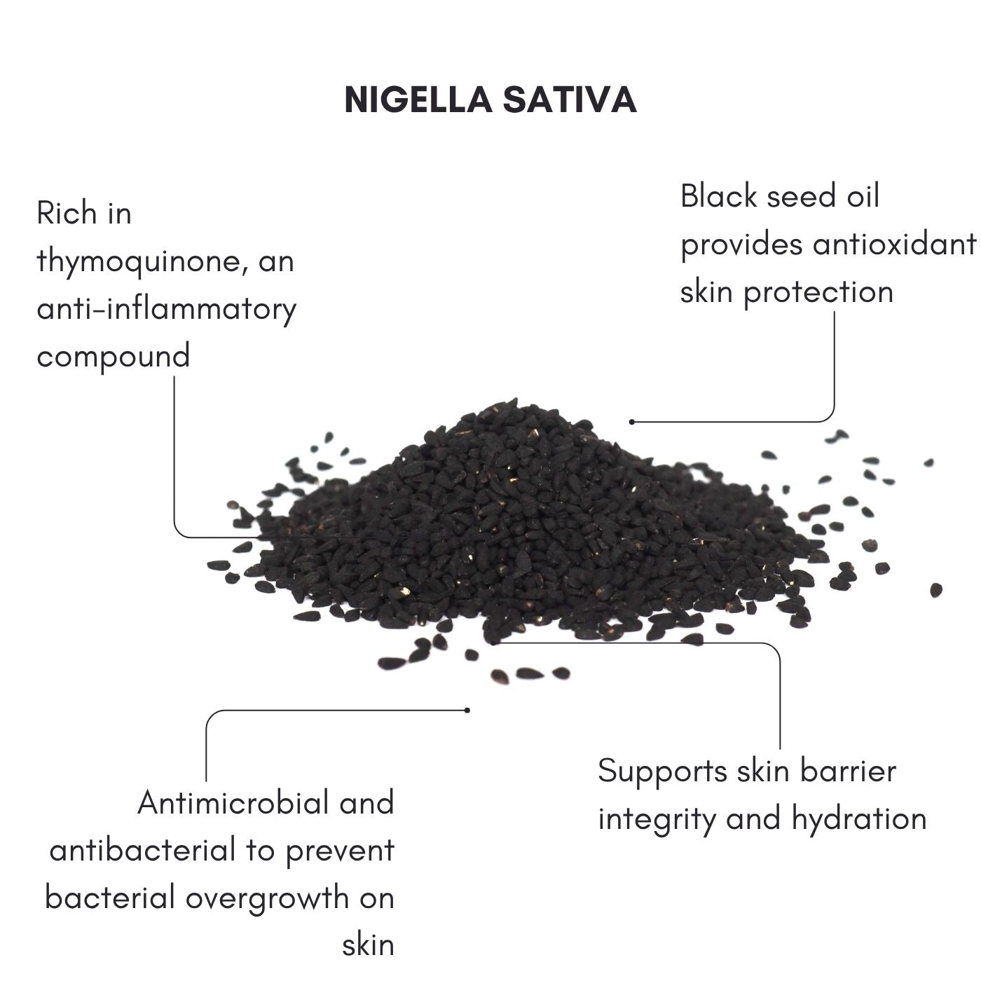 Wild Seeds Face Oil