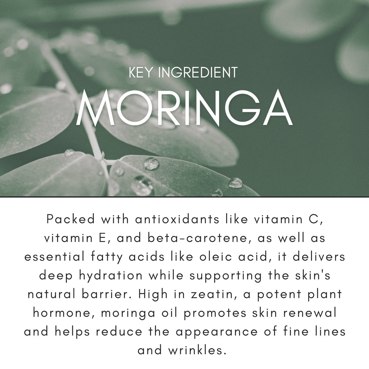 Natural skincare – Moringa Face Serum by Medera Apothecary