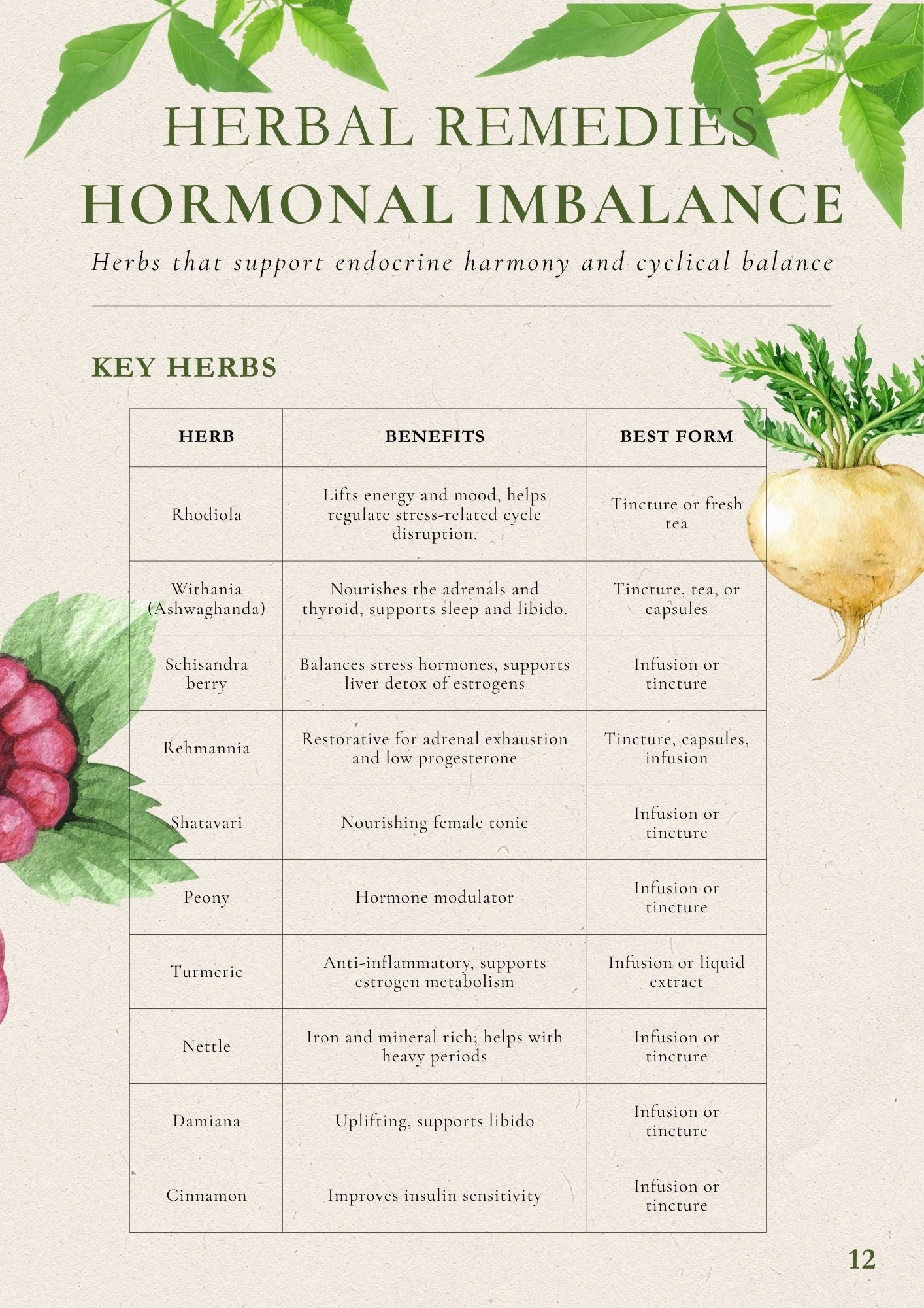 Apothecary At Home: Symptom to Root Cause Herbal Recipe Book - Instant Download