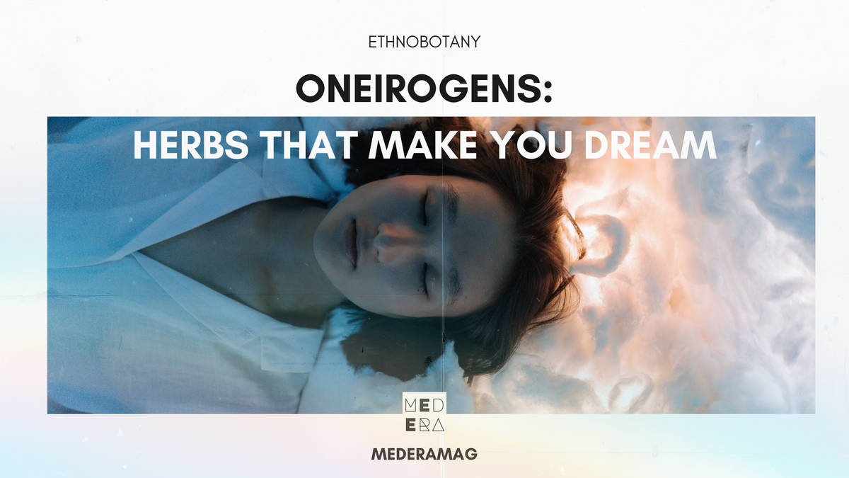 Oneirogen Oneirogens — Herbs That Make You Dream