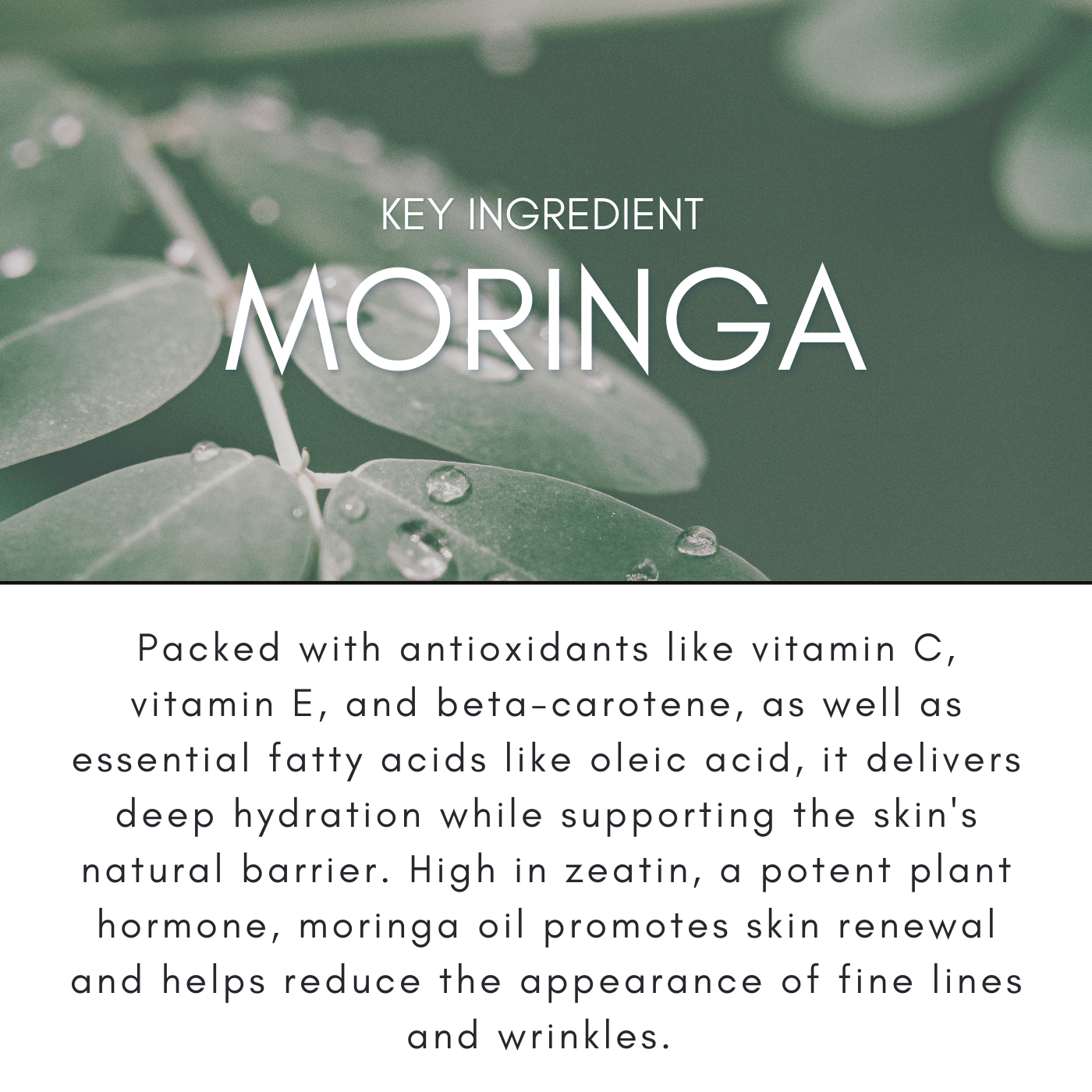 Moringa Face Serum